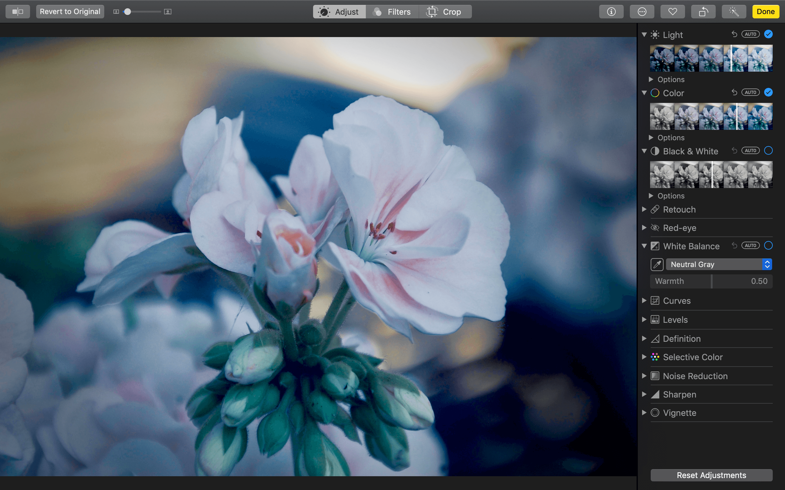 microsoft photoshop for mac